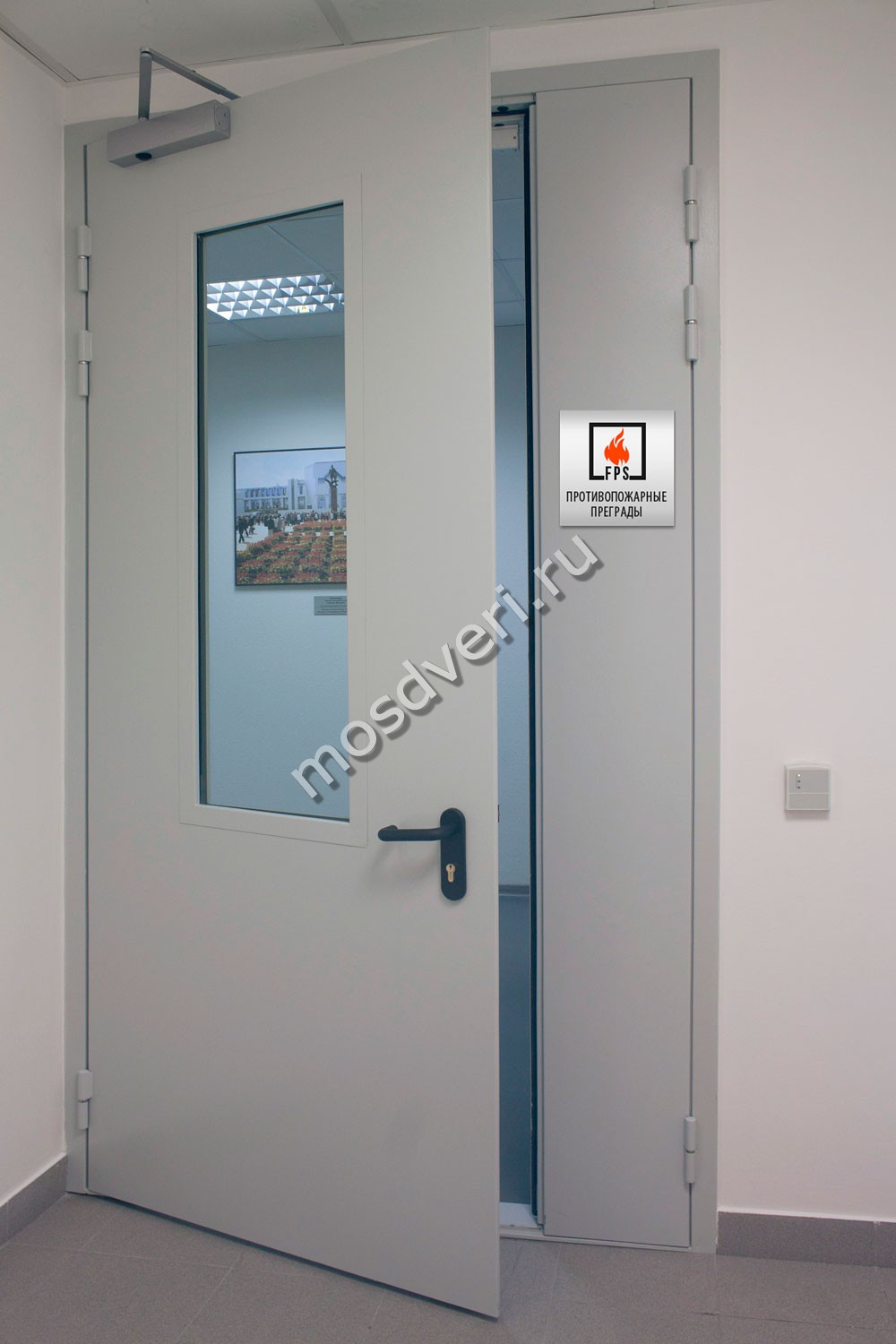 ������������� ����������� ����� �� �������