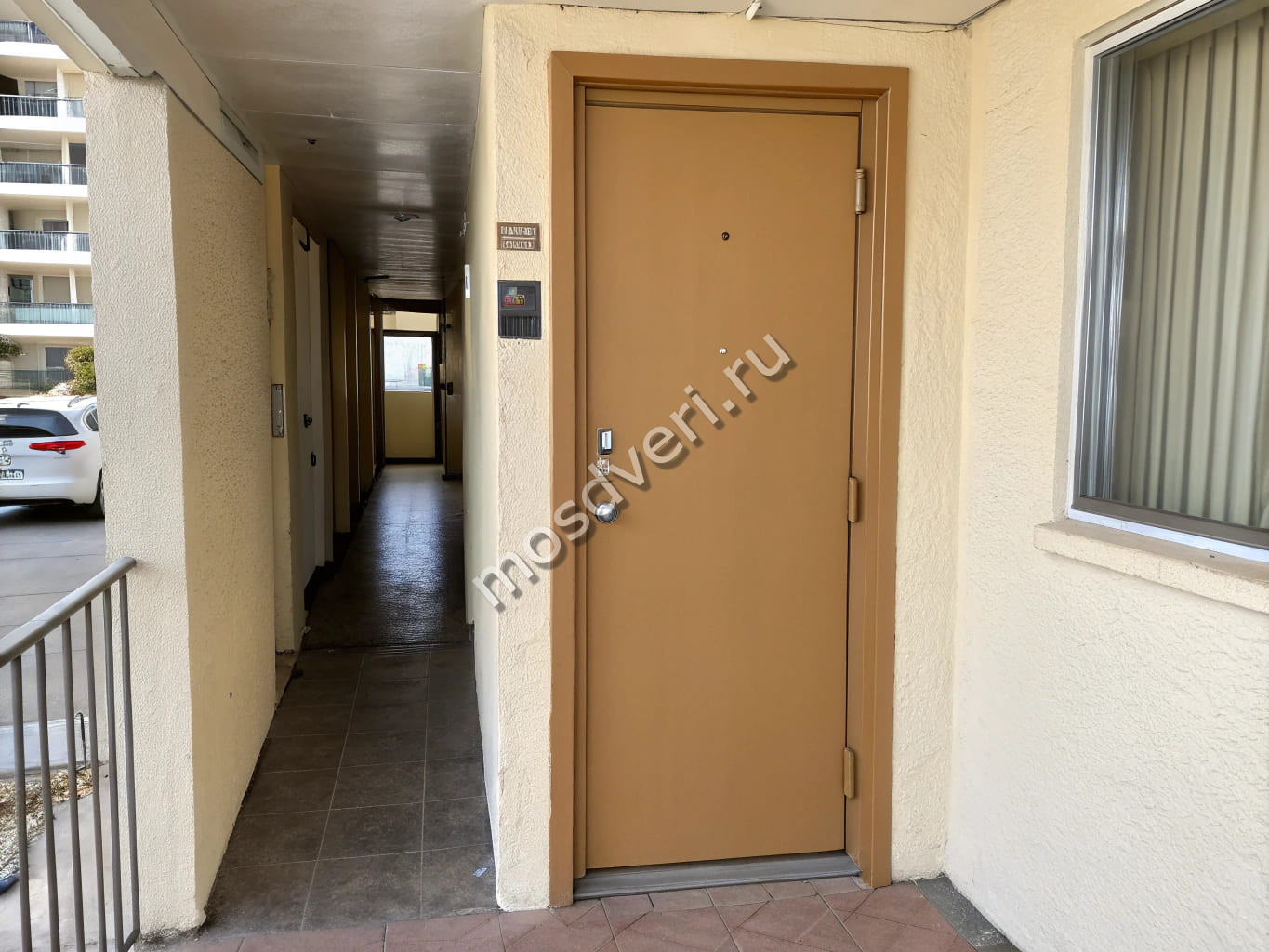 ����� ������� ������-���������� ��������